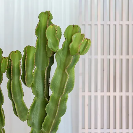 Mykonos Princess Agios Stefanos (Mykonos)