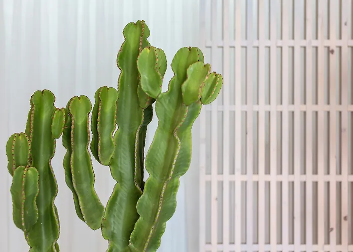 Mykonos Princess 圣斯特凡诺斯