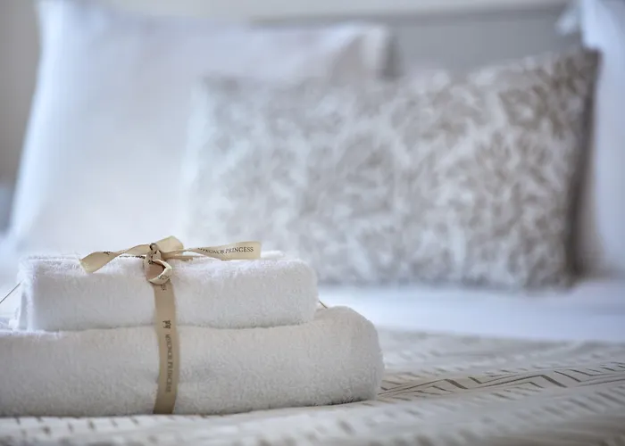 Mykonos Princess 5* 圣斯特凡诺斯