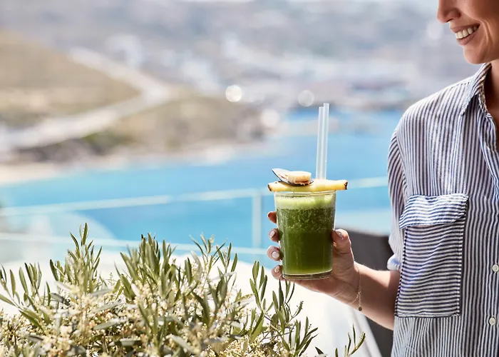 酒店 Mykonos Princess 圣斯特凡诺斯