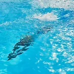 Mykonos Princess Отель