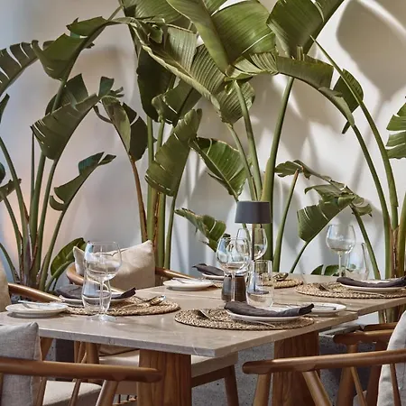 Hotel Mykonos Princess Agios Stefanos (Mykonos)